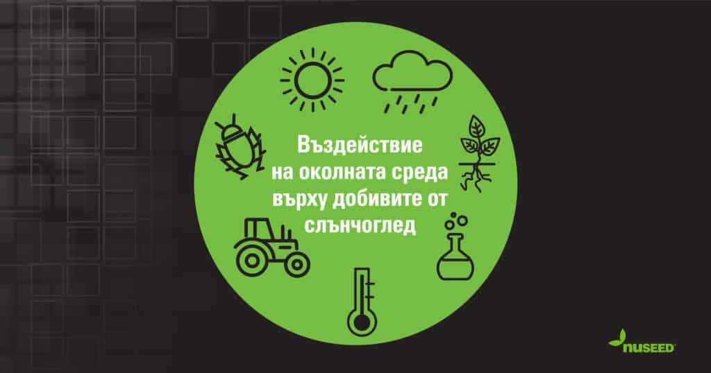 ЗАЩИТА НА ДОБИВА