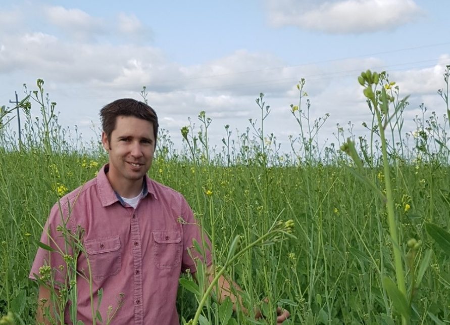 Rick-Bennett-Carinata-Breeding-Lead