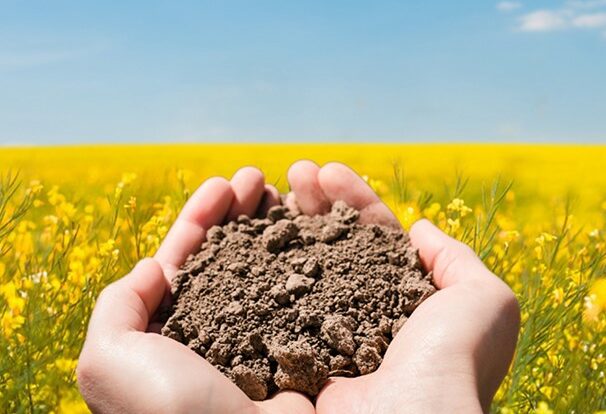 Soil-carbon-capture-cropped