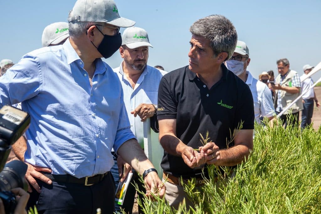 World leaders met at COP26, local leaders met on new low carbon solutions already being grown in Argentina - ARGENTINA CARINATA DIGNITARIES VISIT INNOVVENTER 211118