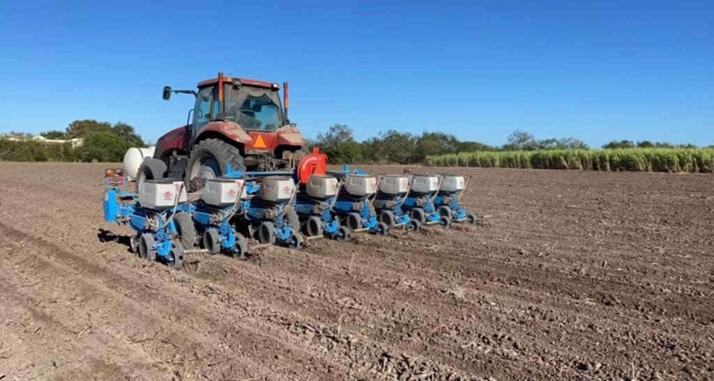 Nuseed Carinata adds revenue to cover crop benefits - Texas Trial