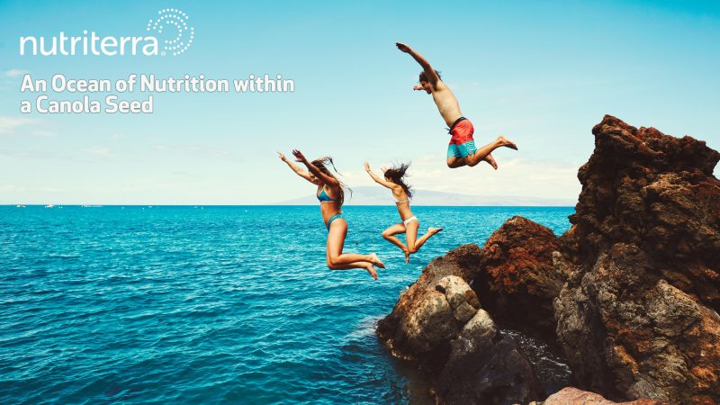 Canola - Nutriterra FDA Food 1