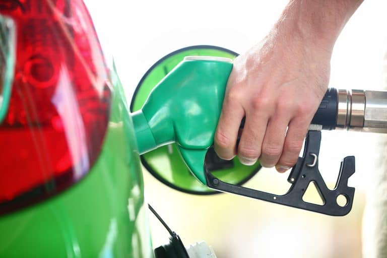 Carinata - Global Carinata ShutterFuelPump 211116